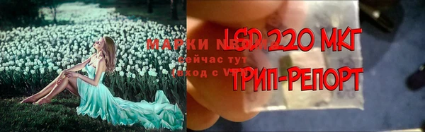 дмт Надым
