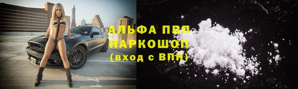 дмт Надым