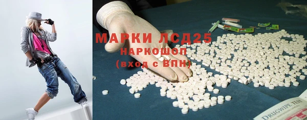 крисы Алагир